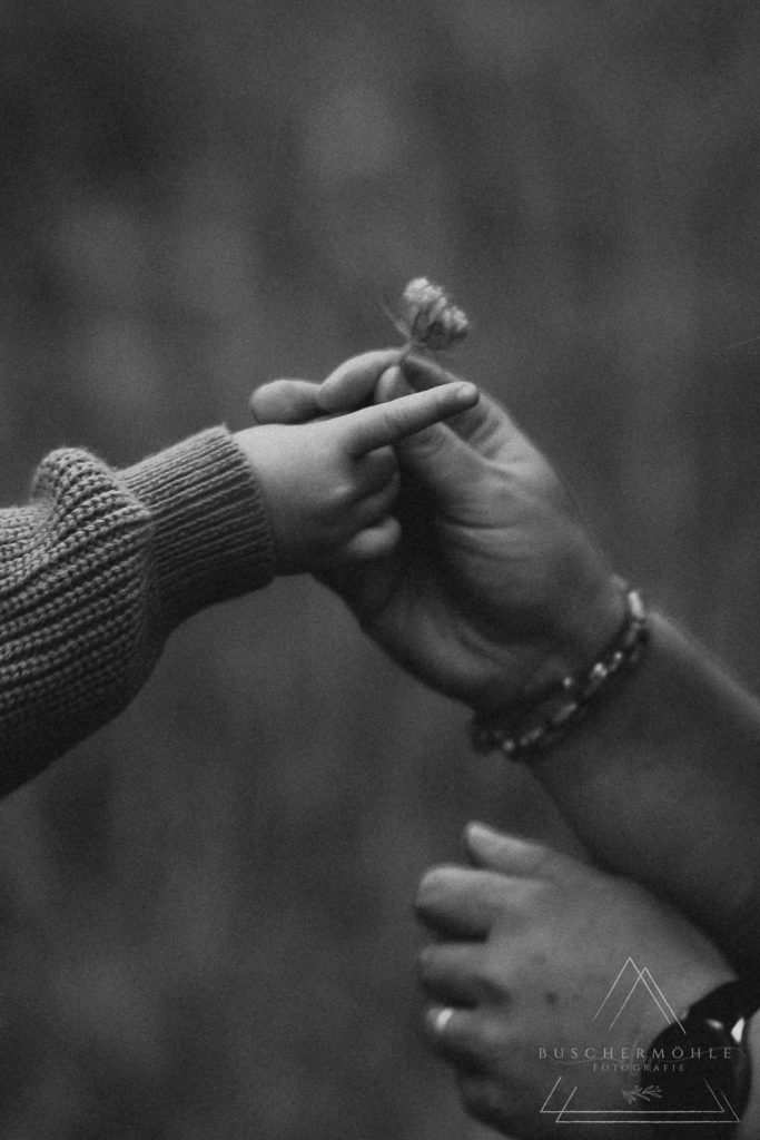 Detailaufnahme von Erwachsenenhand und Kinderhand, beide halten dieselbe Kleeblume in schwarz-weiß